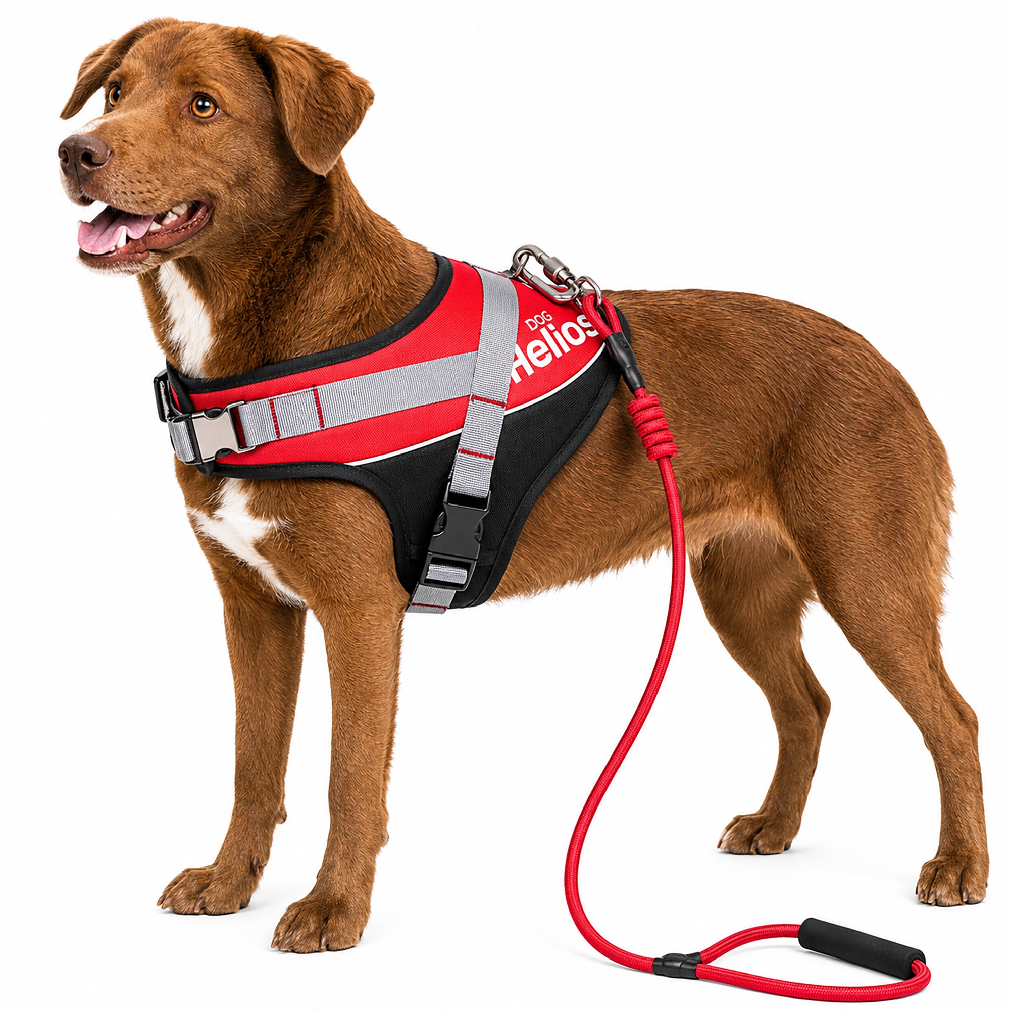 Dog Helios ® 'Bark-Mudder' 2-in-1 Reflective and Adjustable Sporty Dog Harness and Leash Red