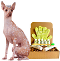 4-HAIRLESS PETS *DOG REGULAR KIT SAMPLE SIZE ($9.92 oz.)