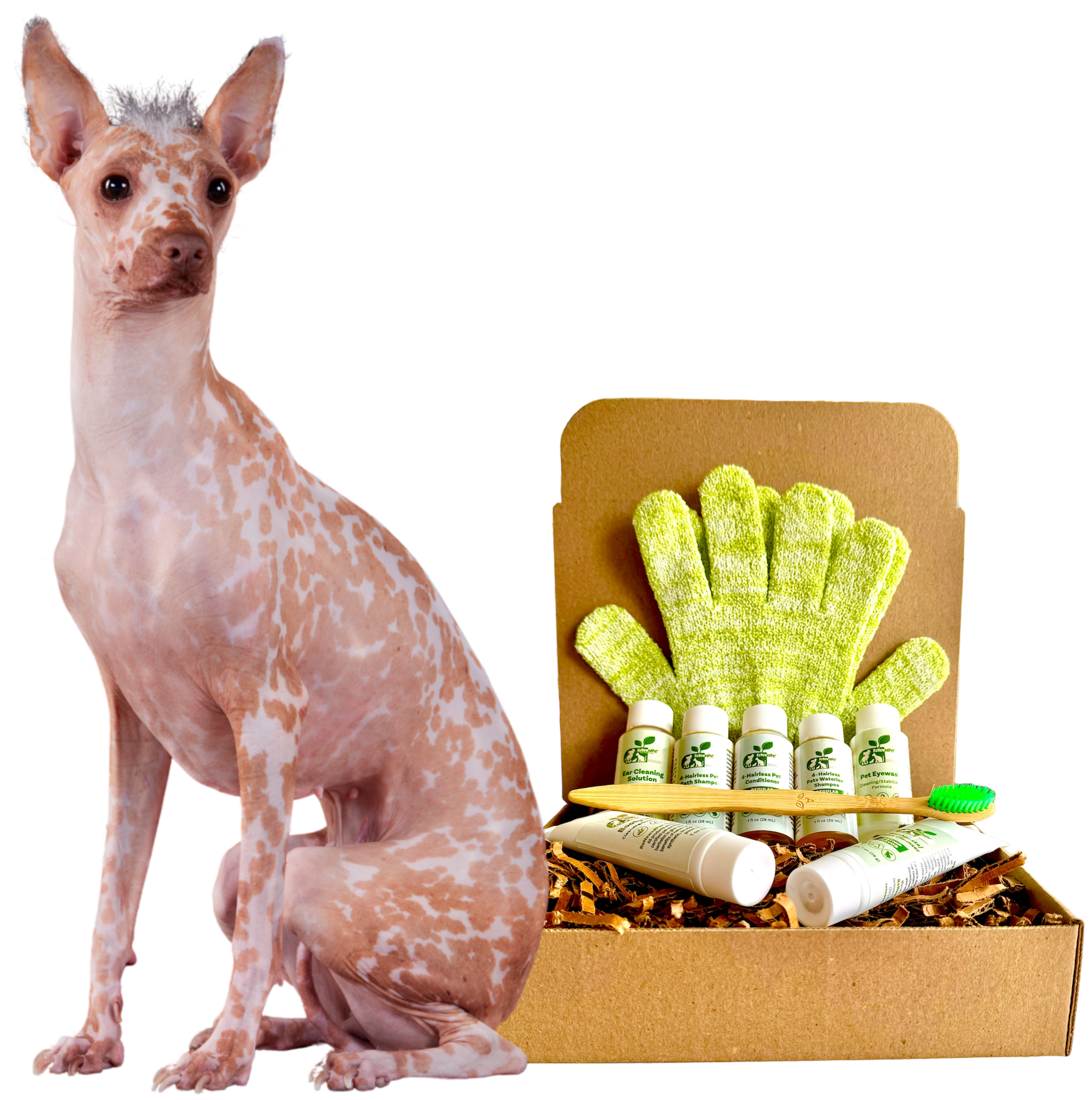 4-HAIRLESS PETS *DOG REGULAR KIT SAMPLE SIZE ($9.92 oz.)