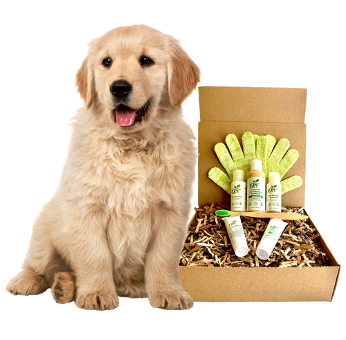 4-FURRY DOGS *RESTORATIVE GROOMING KIT HALF SIZE ($7.26 oz.)