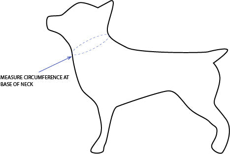 Avery' Reversible Pet Bandana
