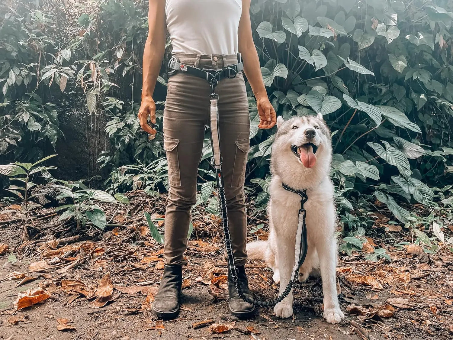 Hands Free Dog Leash Heavy Duty Bungee Waist Belt Reflective Training One - Large Dog (45-125 Pounds)