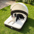 Rattan Pet Daybed with Adjustable Canopy for Small & Medium Dogs Default Title