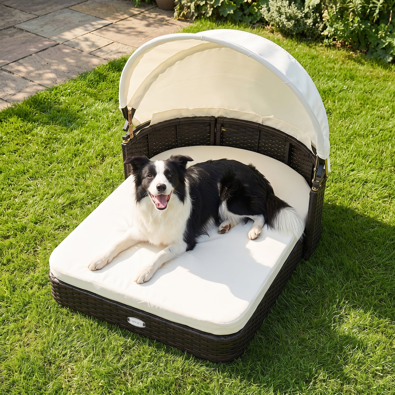 Rattan Pet Daybed with Adjustable Canopy for Small & Medium Dogs Default Title