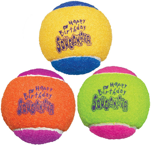Birthday Ball Dog Toy