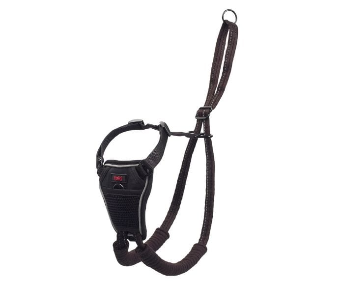Halti Harness Large