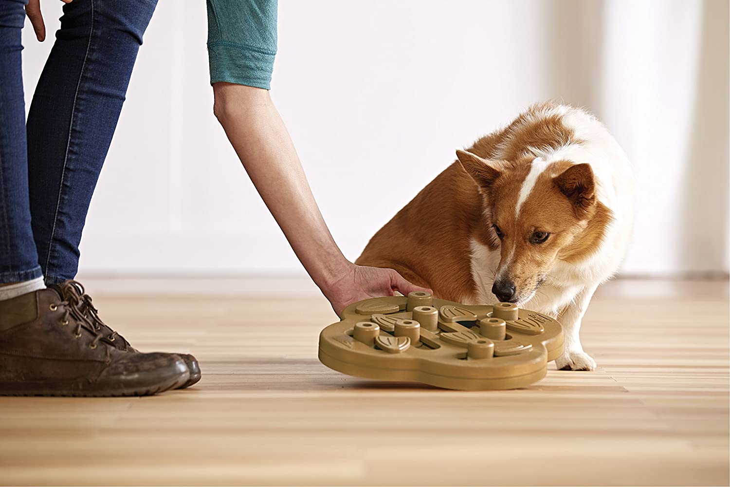 Hide N' Slide Puzzle Game for Dogs -Nina Ottoson
