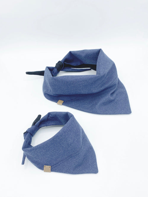 Aiden' Reversible Pet Bandana