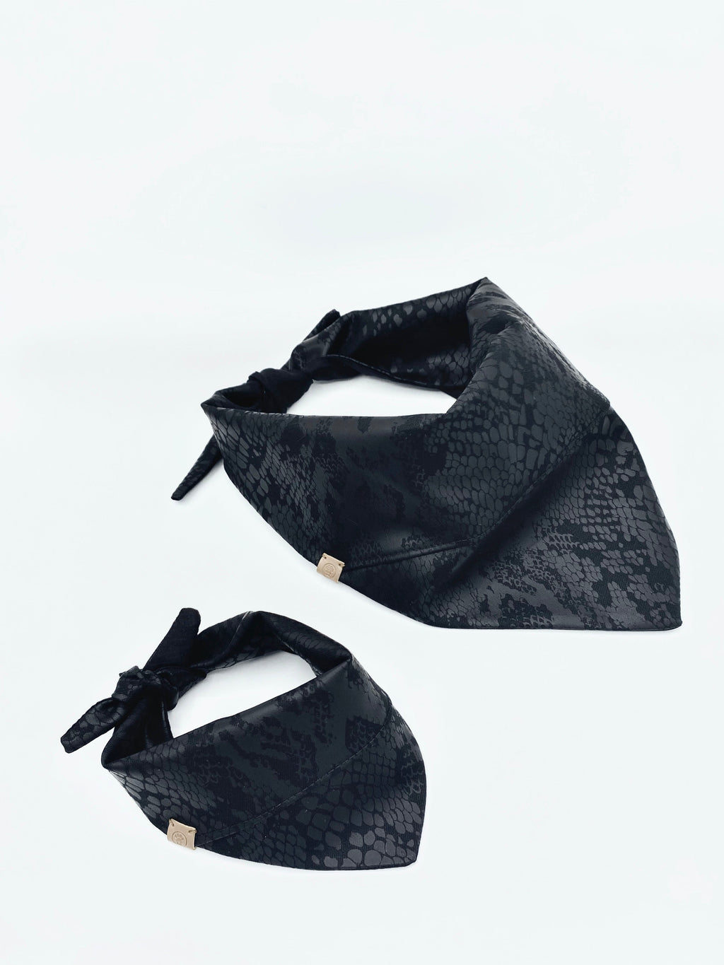 Andy' Reversible Pet Bandana