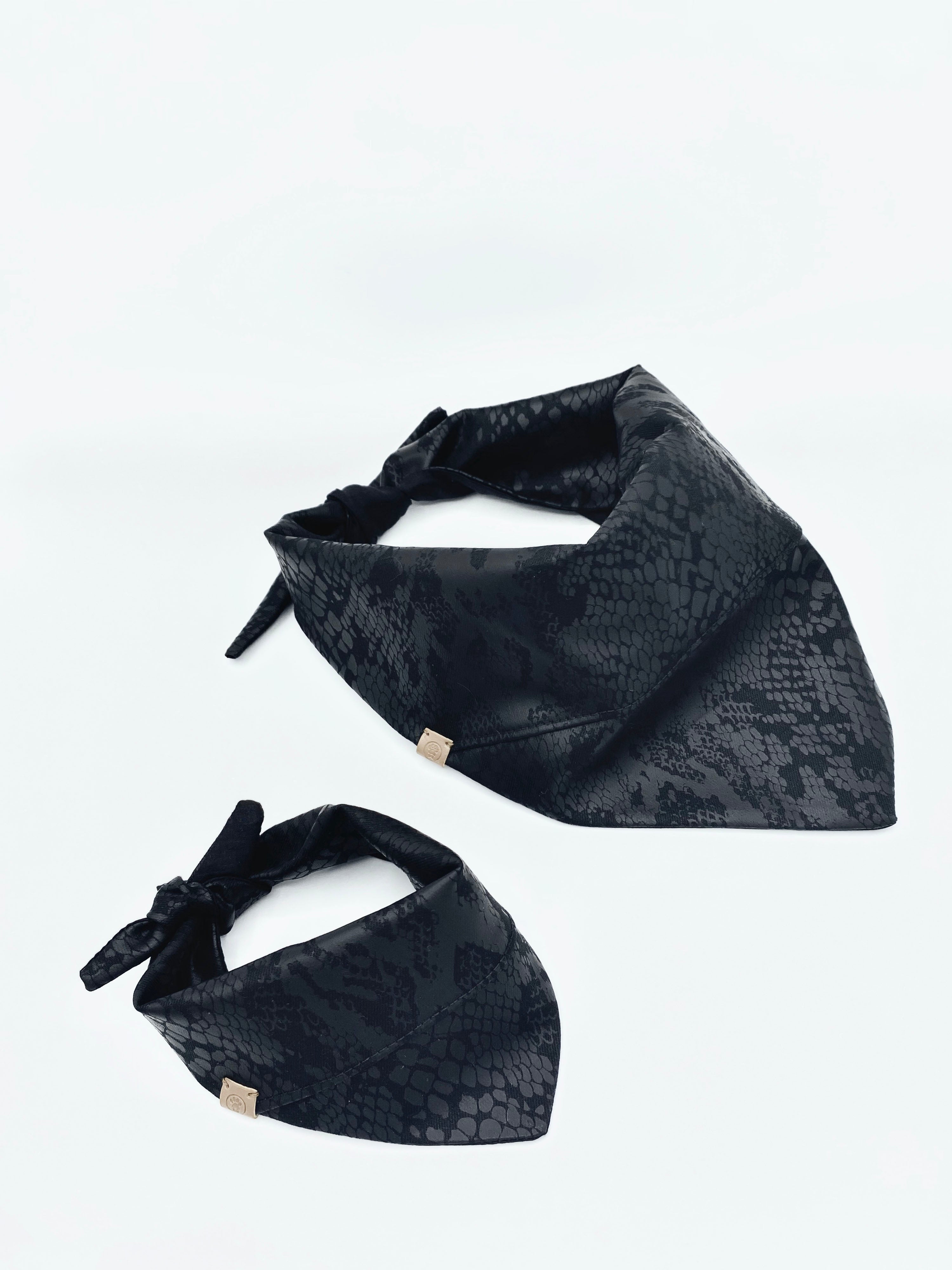 Andy' Reversible Pet Bandana