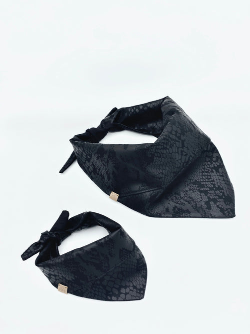 Andy' Reversible Pet Bandana