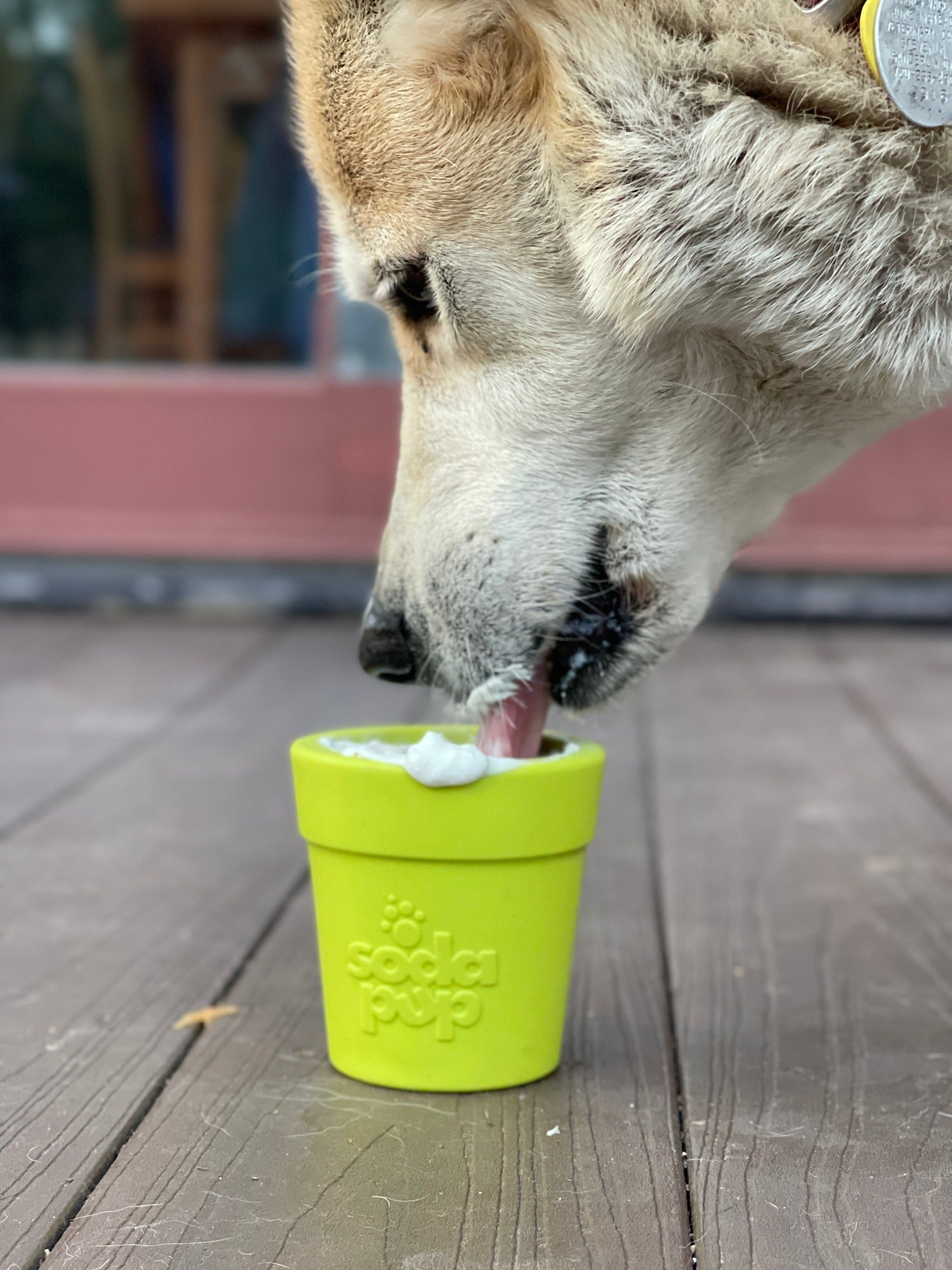 SodaPup Large Flower Pot Dog Treat Dispenser – USA-Made Natural Rubber | 3 Colors