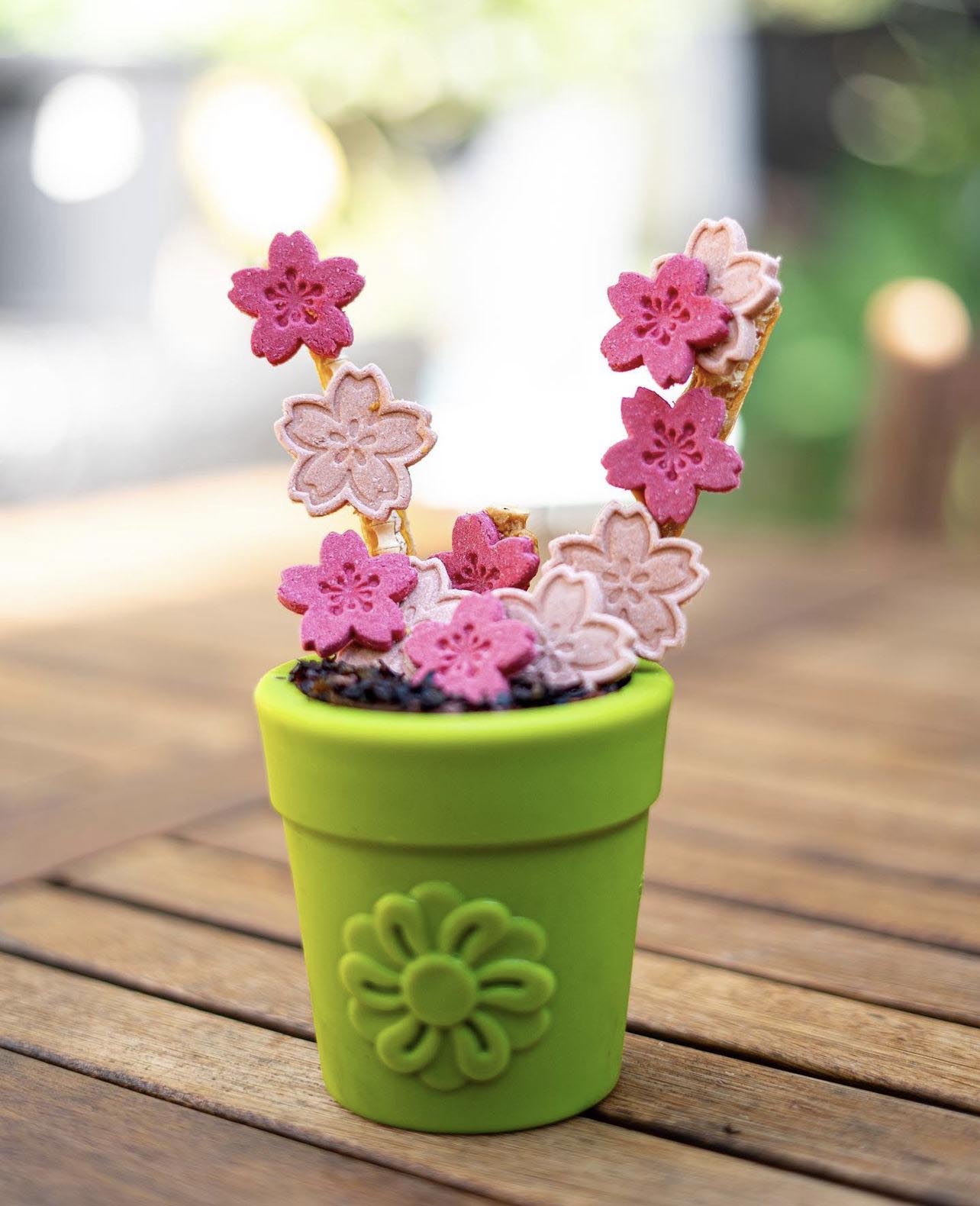 SodaPup Large Flower Pot Dog Treat Dispenser – USA-Made Natural Rubber | 3 Colors