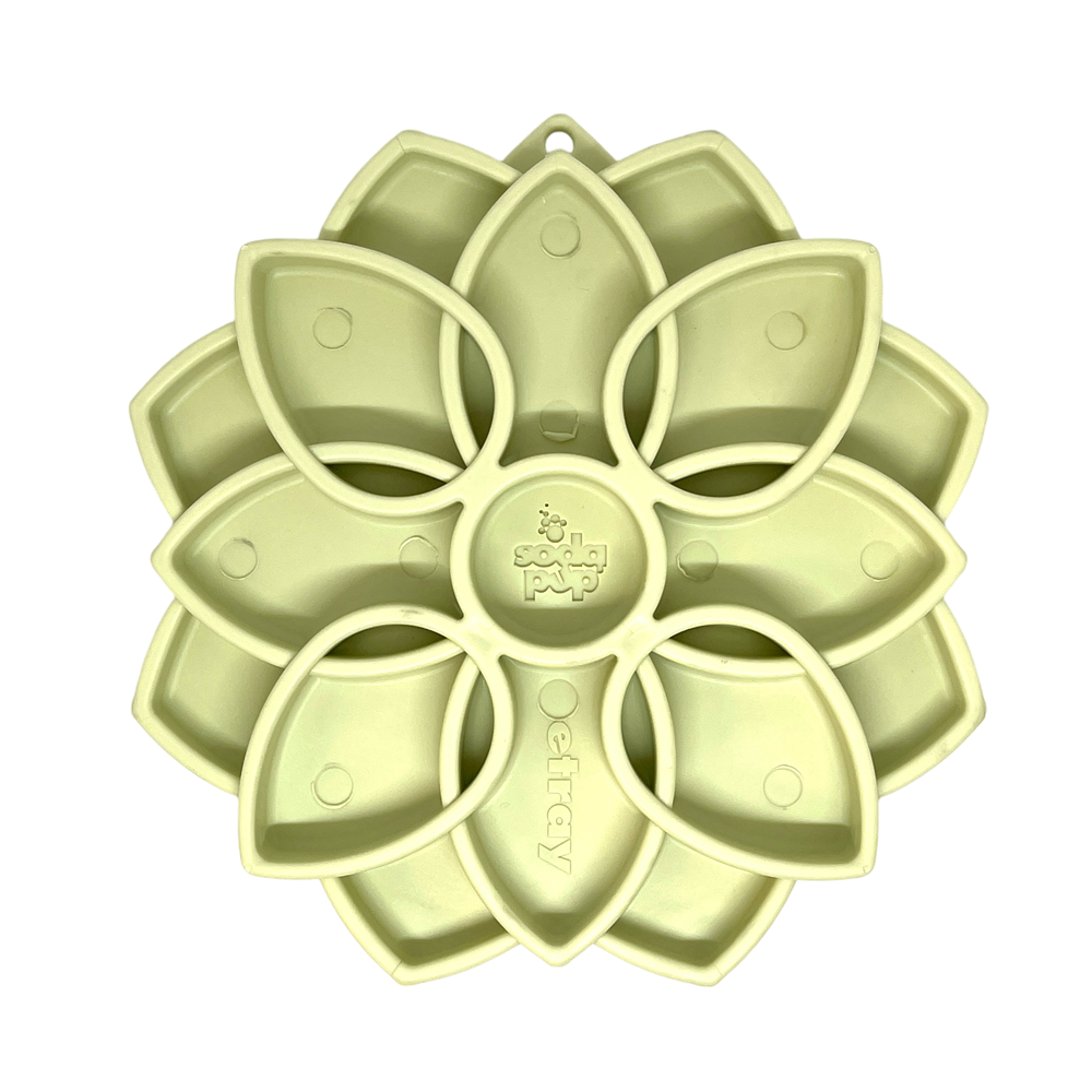 Mandala Softie eTray Shallow Slow Feeder Dog Bowl with Suction Cups | USA Made Pastel Green Mandala Softie