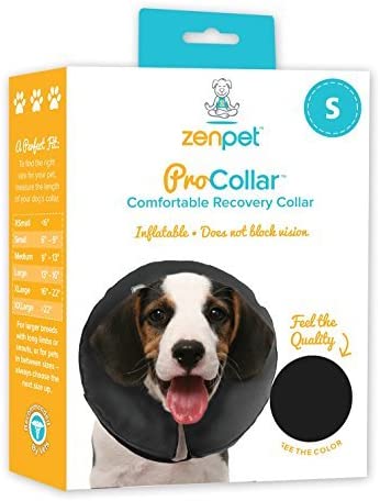 Inflatable Recovery Collar for Dogs & Cats