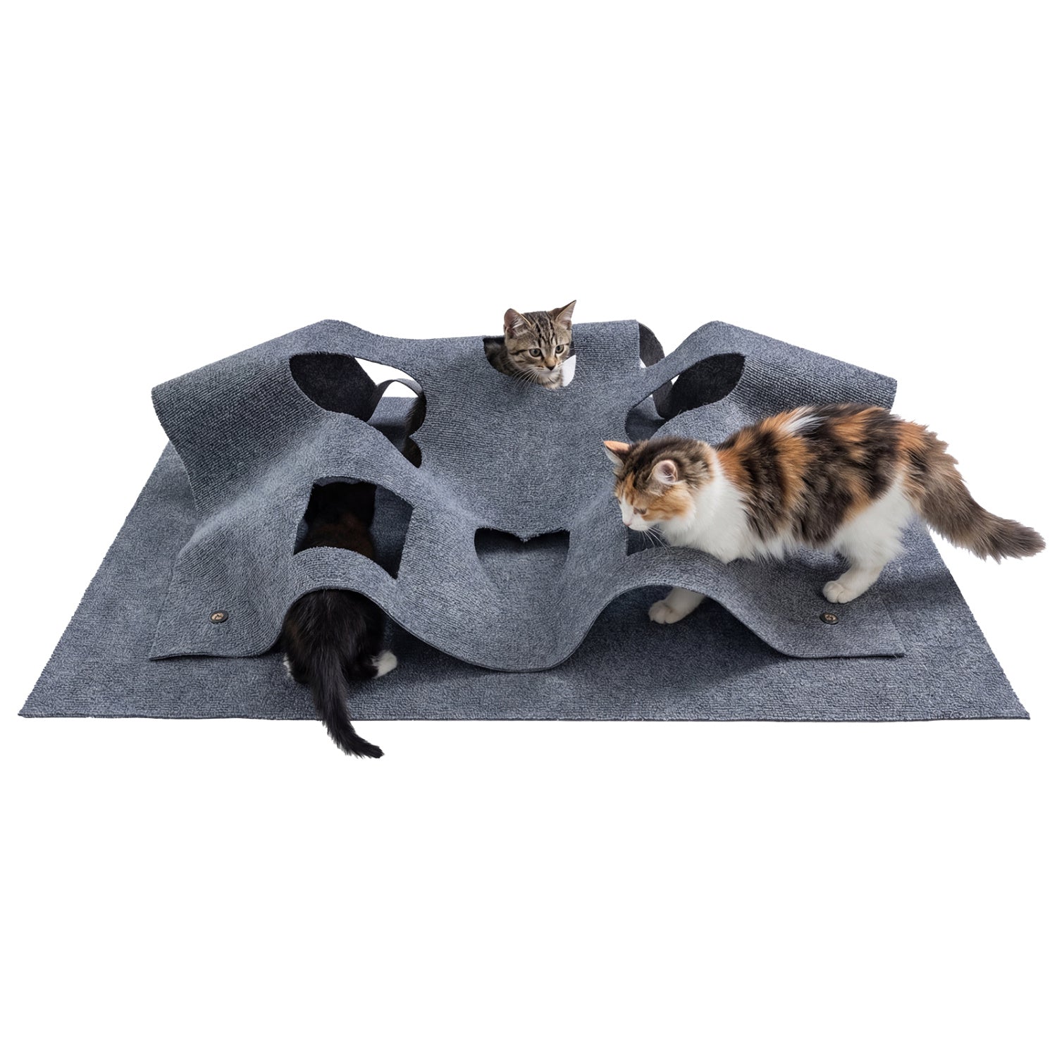 Interactive Foldable Cat Tunnel for Indoor Cats