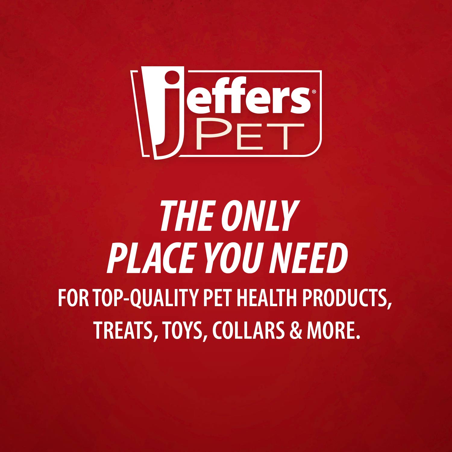 Jeffers Red Seahorse Natural Rubber Dog Chew Toy with Vanilla Scent and Textured Ridges for Dental Health