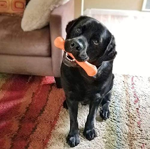 Jolly Bone Floating Dog Toy by Jolly Pet