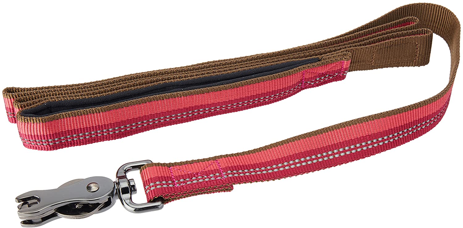 K9 Explorer Reflective Adjustable Dog Collar and leash 6 foot leash - Berry