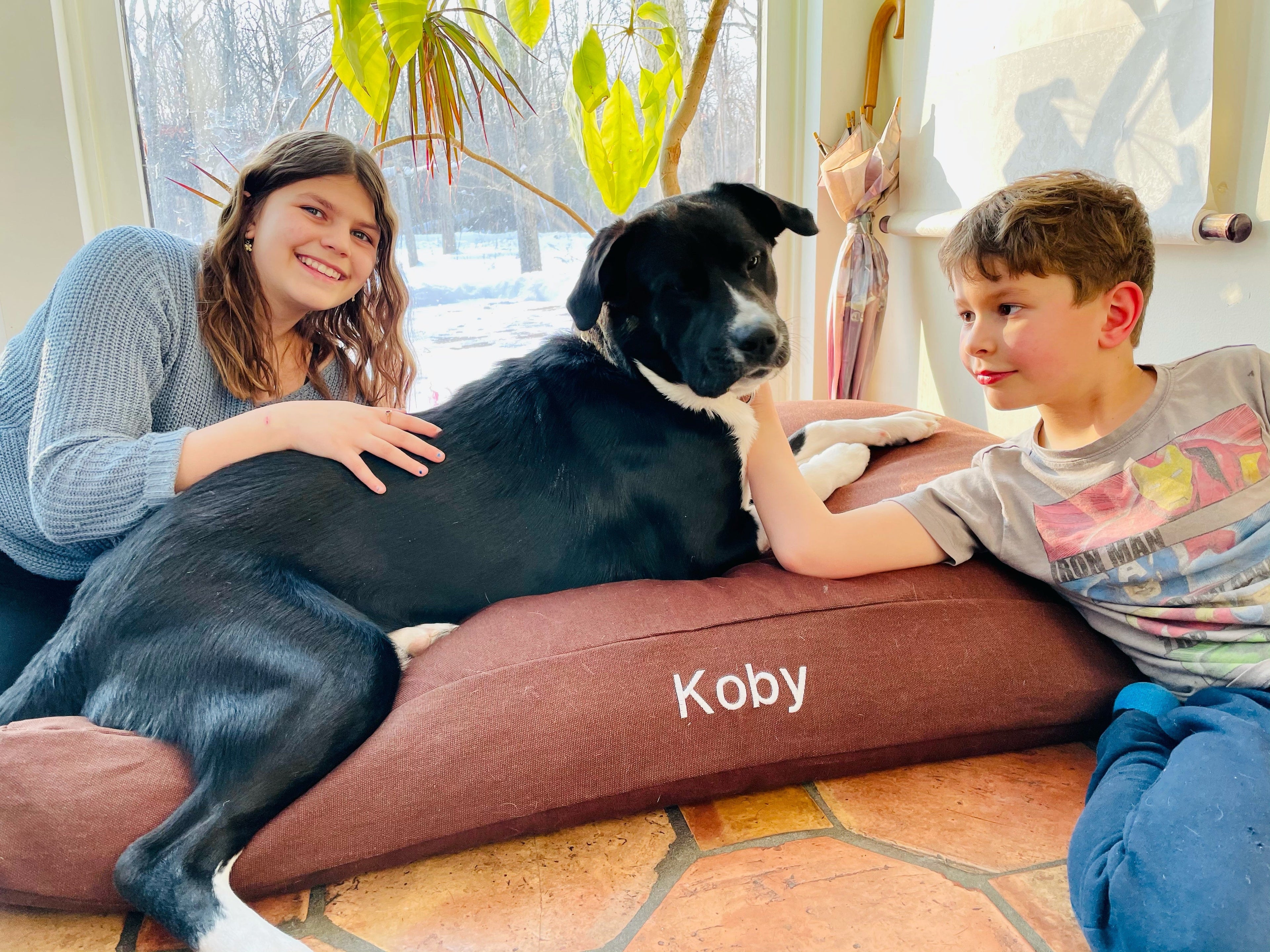 Premium Hemp Dog Bed - Organic Latex Foam Fill XX-Large Cocoa