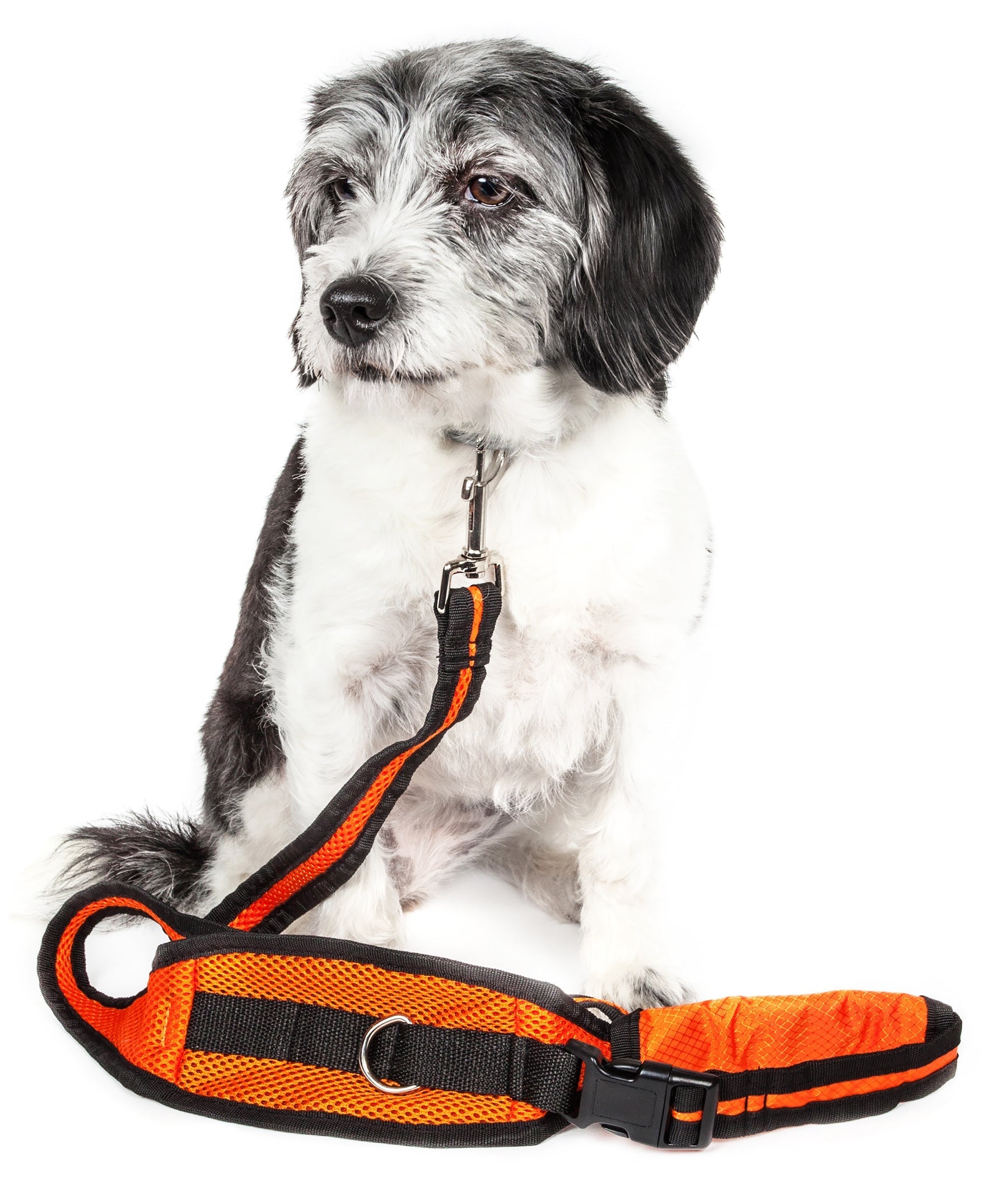 Pet Life ® 'Echelon' Hands Free and Convertible 2-In-1 Training Pet Dog Leash and Pet Belt Trainer Orange