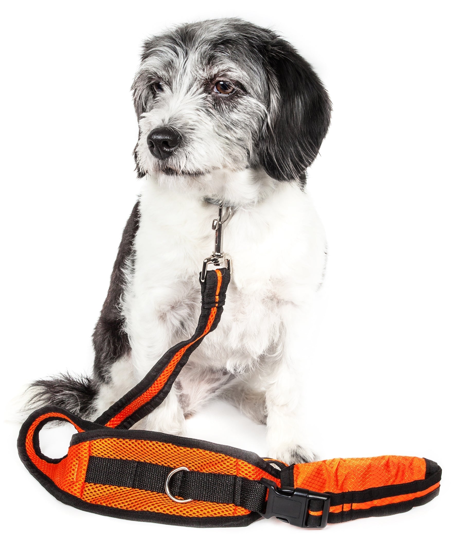Pet Life ® 'Echelon' Hands Free and Convertible 2-In-1 Training Pet Dog Leash and Pet Belt Trainer Orange