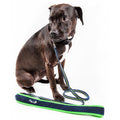 Pet Life ® 'Free-Fetcher' Hands Free Over-The-Shoulder Shock Absorbent Dog Leash Navy Blue