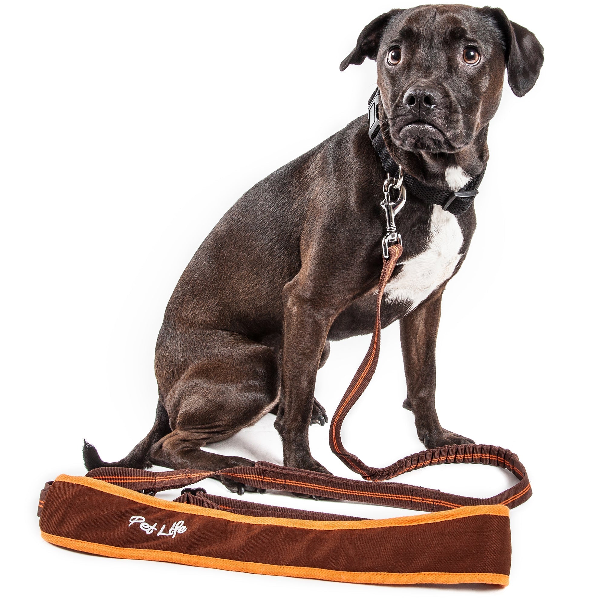 Pet Life ® 'Free-Fetcher' Hands Free Over-The-Shoulder Shock Absorbent Dog Leash Brown