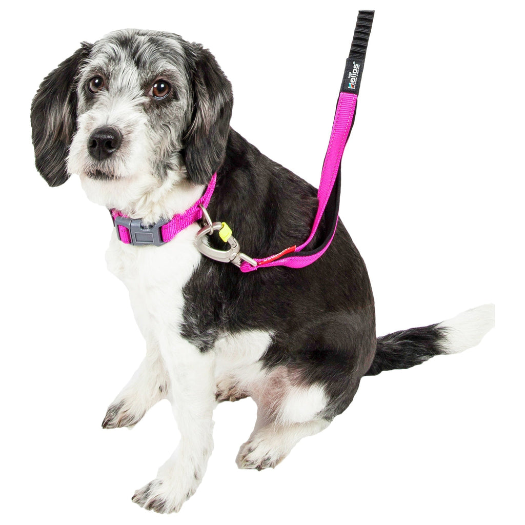 Dog Helios ® 'Neo-Indestructible' 2-in-1 Accordion Dog Collar and Leash