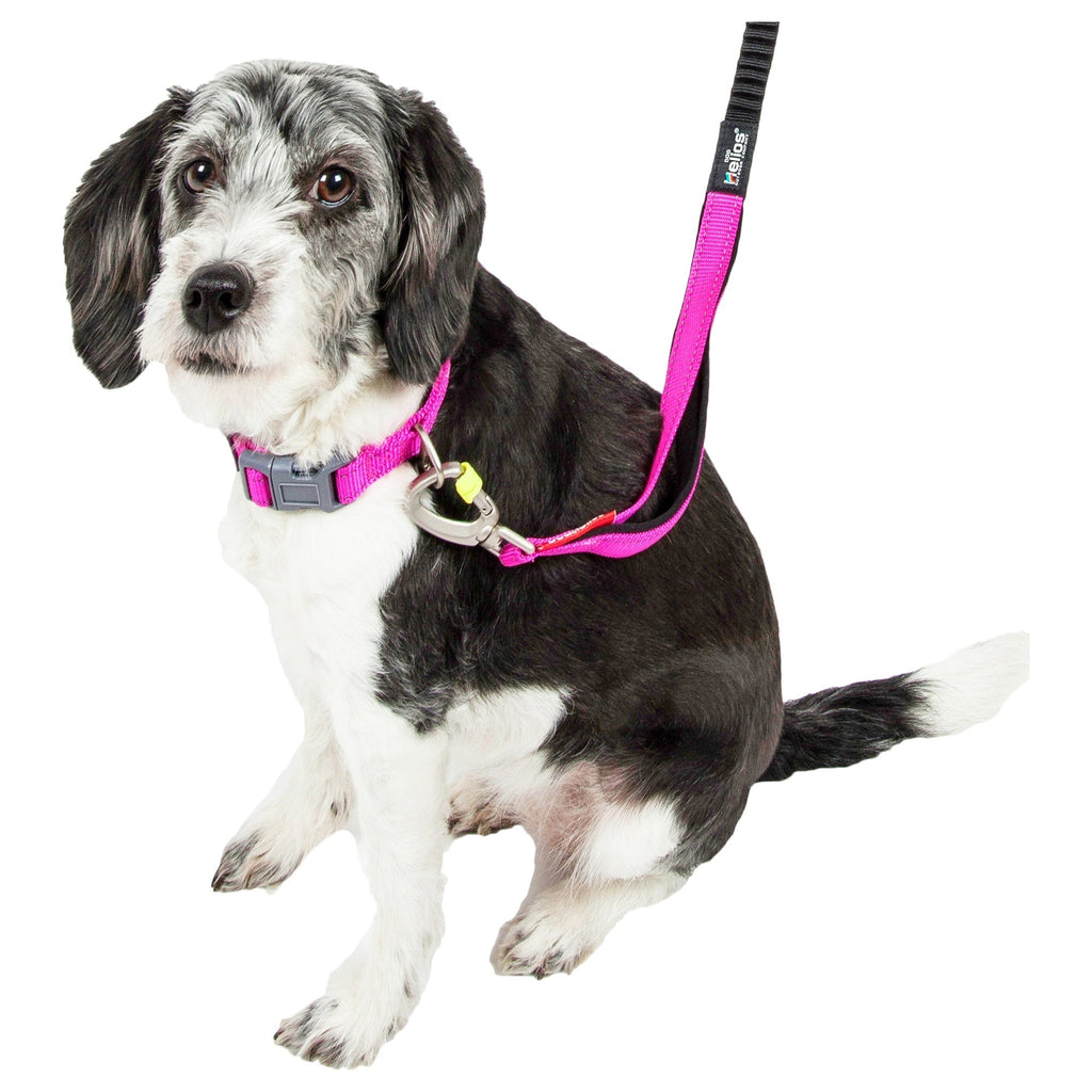 Dog Helios ® 'Neo-Indestructible' 2-in-1 Accordion Dog Collar and Leash