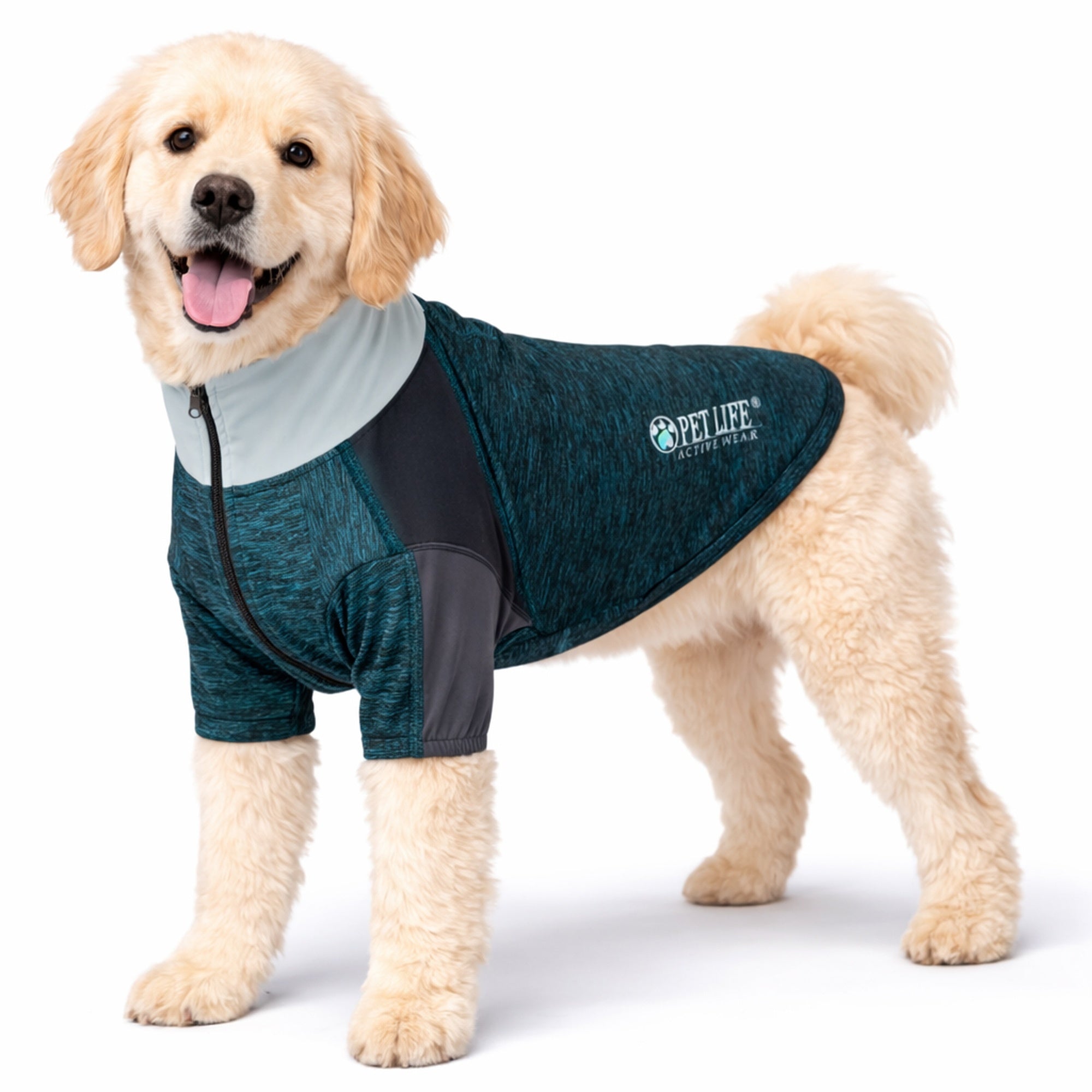 Pet Life ® Active 'Chewitt Wagassy' 4-Way-Stretch Yoga Fitness Long-Sleeve Dog T-Shirt Teal