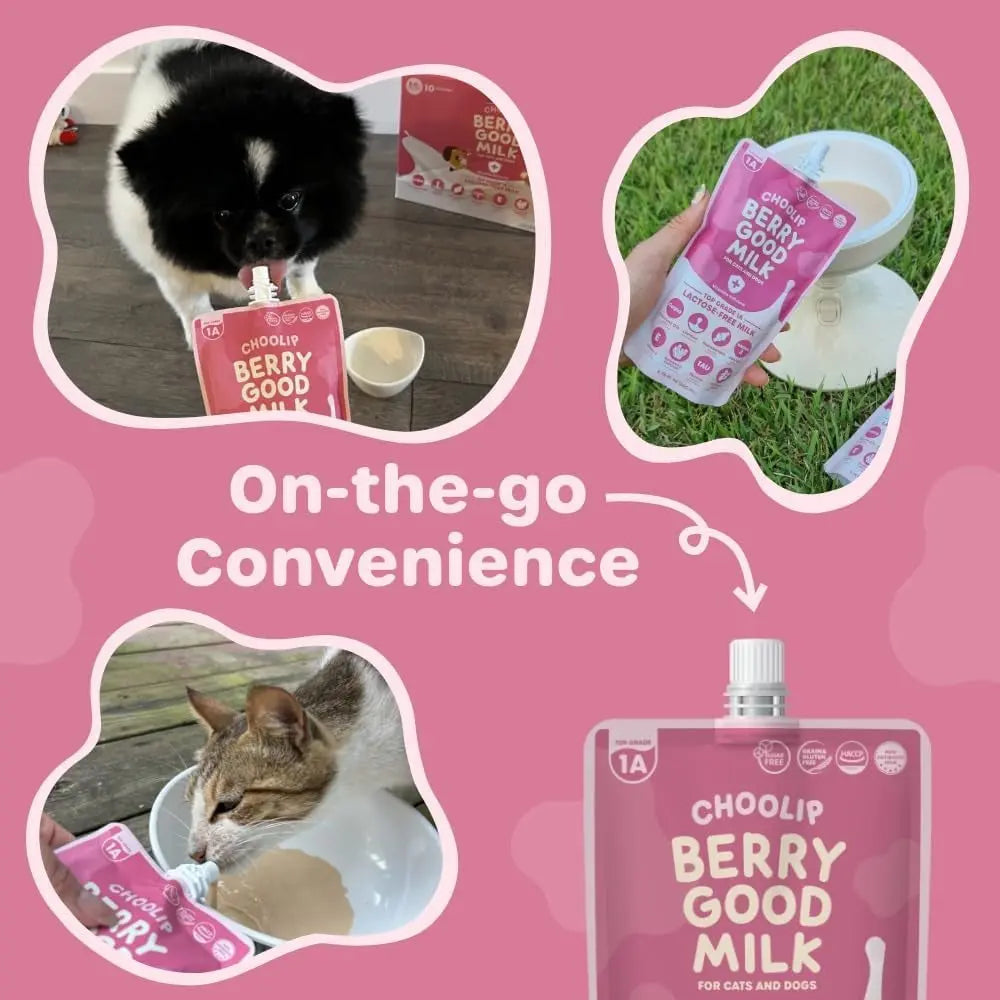 Lactose-Free Vitamin Milk for Cats & Dogs, 10-Pack Pet Nutrition Drink