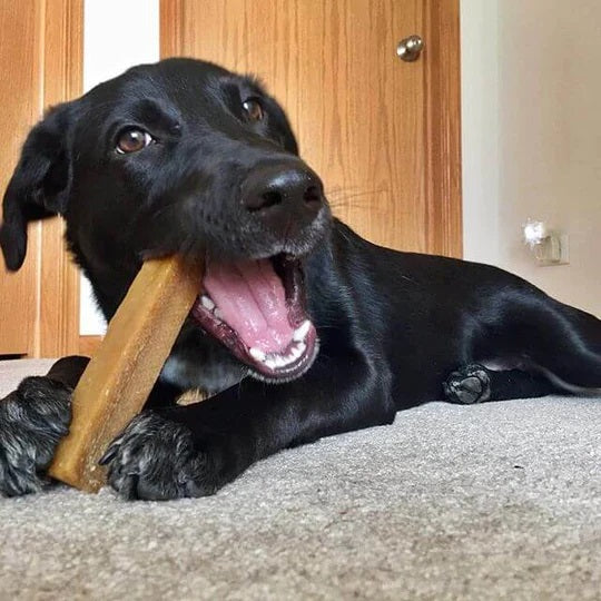 Himalayan Yak Cheese Dog Chews Large