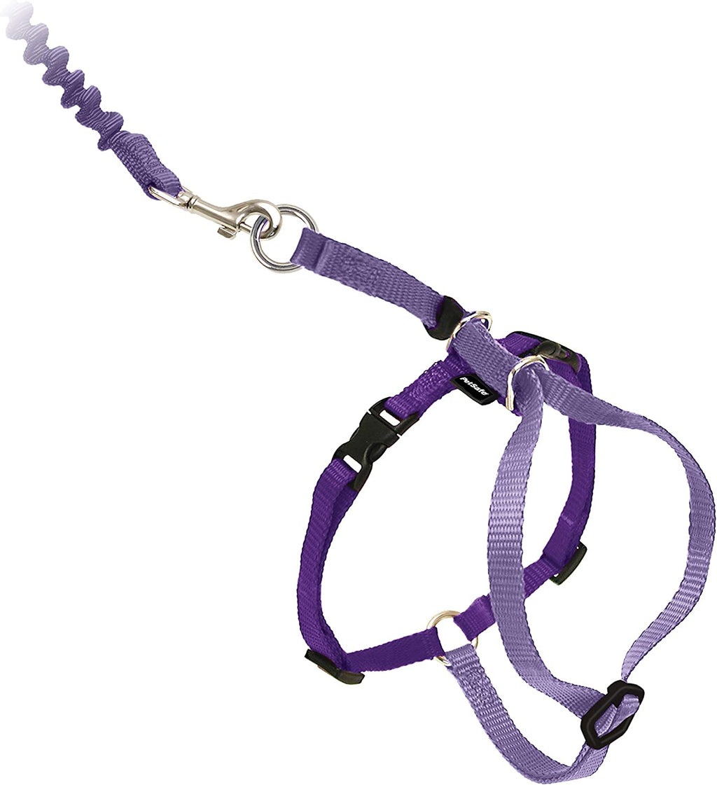 Harness & Bungee Leash for Cats (Lilac/Deep Purple) Large