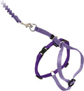 Harness & Bungee Leash for Cats (Lilac/Deep Purple) Large