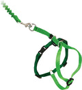 PetSafe Come with Me Kitty Harness and Bungee Leash, Electric Lime/Green Large