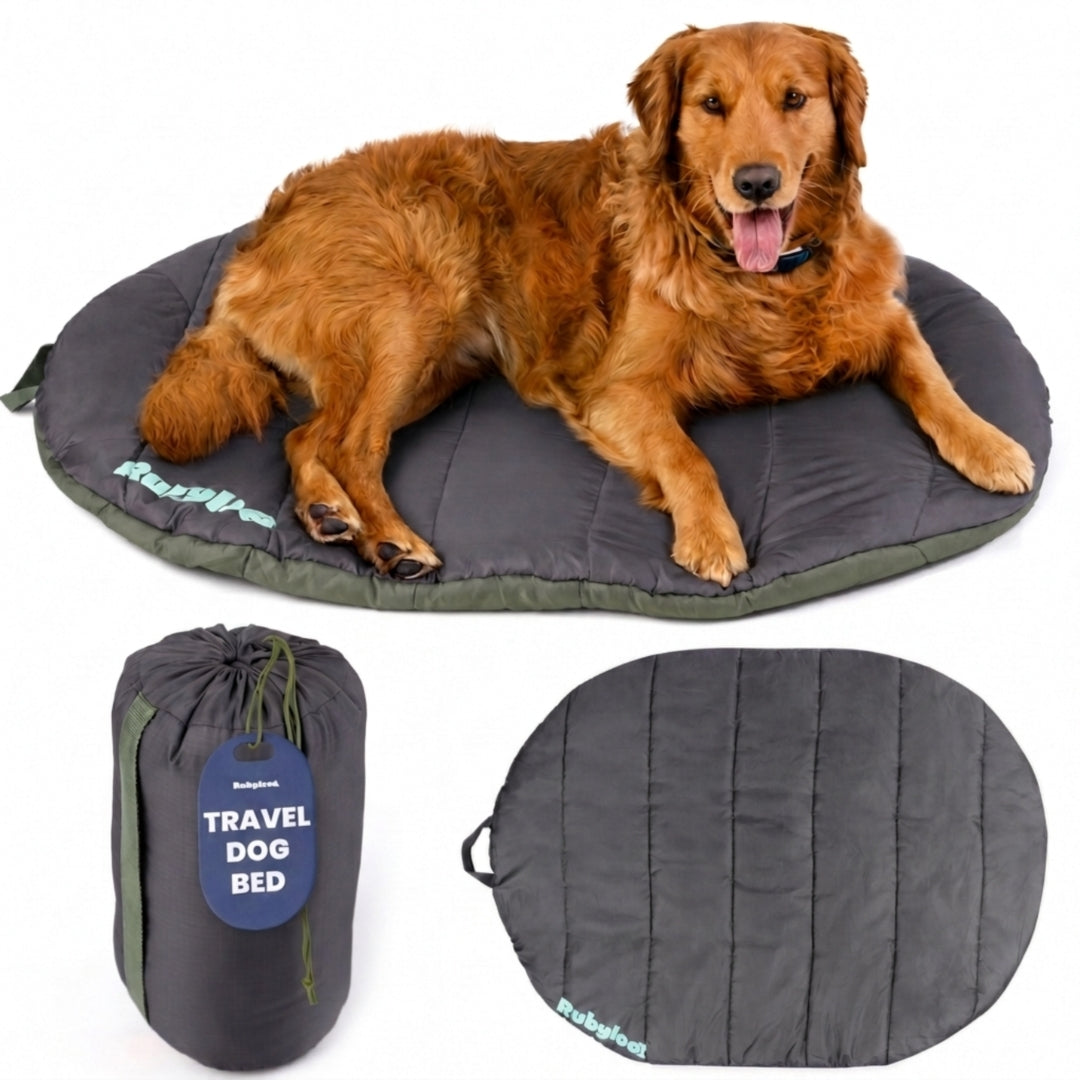 Travel Dog Bed - Foldable & Packable for Travel, Road Trip, Camping Midnight Forest Black Large