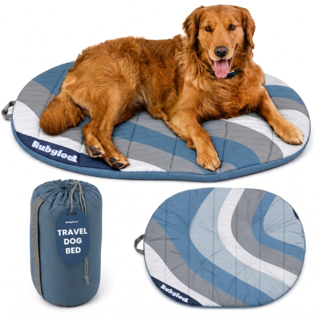 Travel Dog Bed - Foldable & Packable for Travel, Road Trip, Camping Glacier Tide Blue Large