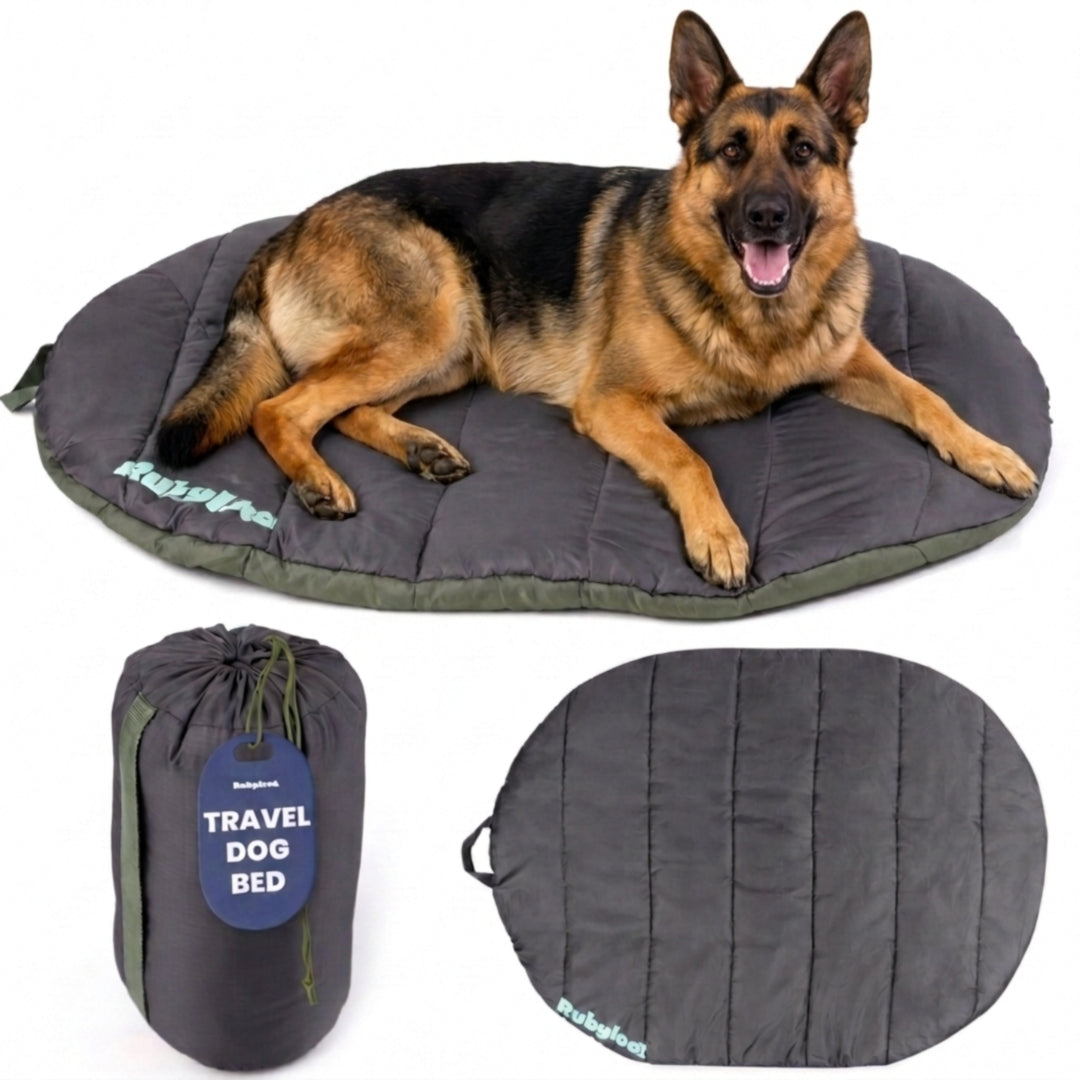 Travel Dog Bed - Foldable & Packable for Travel, Road Trip, Camping Midnight Forest Black XL