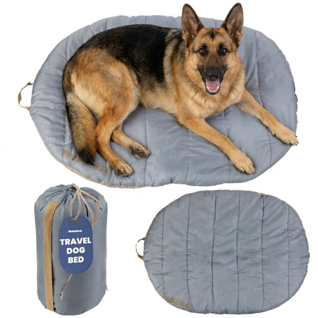 Travel Dog Bed - Foldable & Packable for Travel, Road Trip, Camping Foggy Trail Grey XL