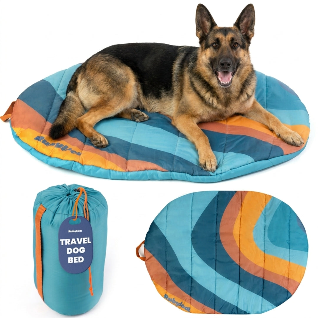 Travel Dog Bed - Foldable & Packable for Travel, Road Trip, Camping Sunset Surf Teal XL