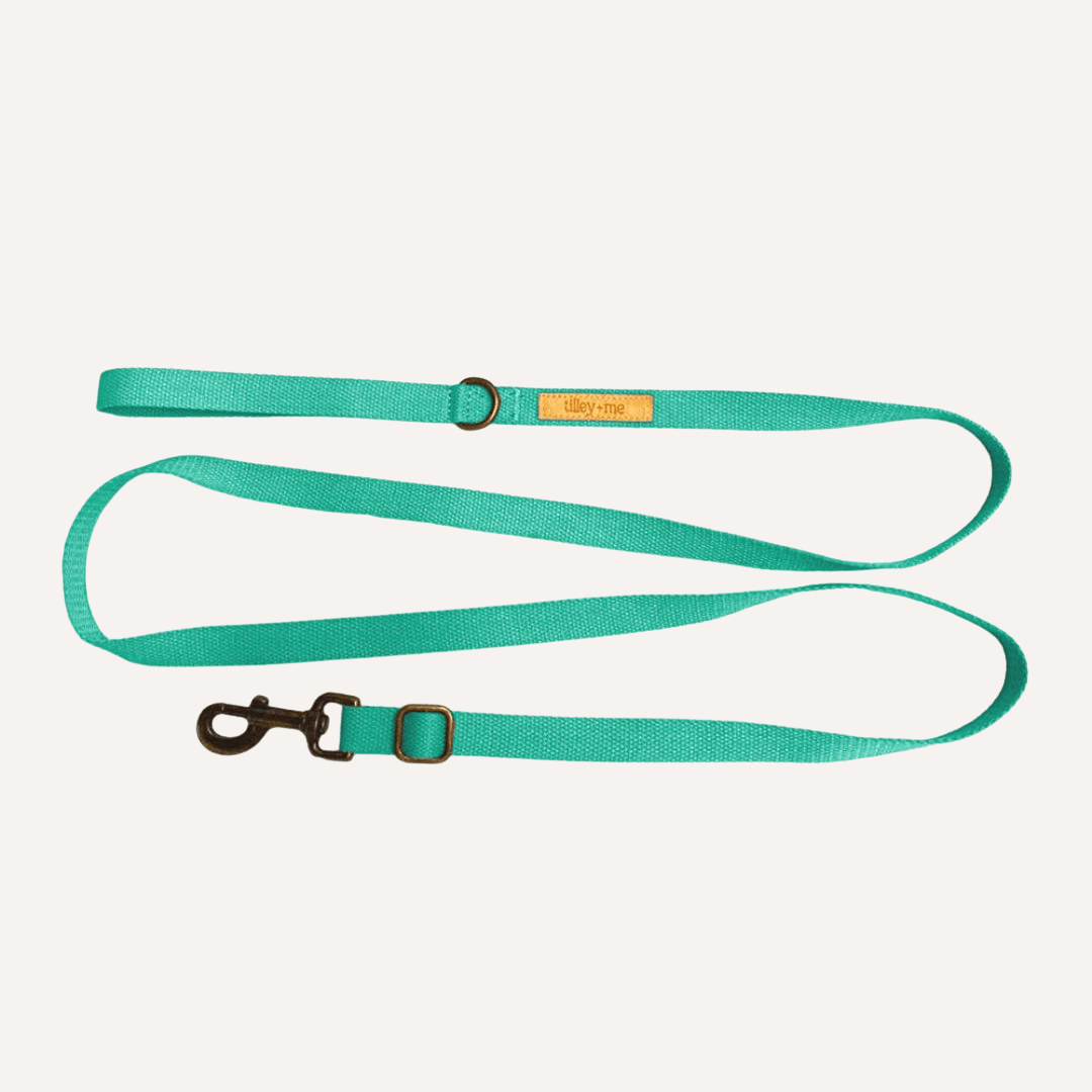 Tilley + Me Hemp Cotton Dog Leash - Durable, Sustainable, Adjustable, Lightweight & Soft-Malibu Coastal Aqua