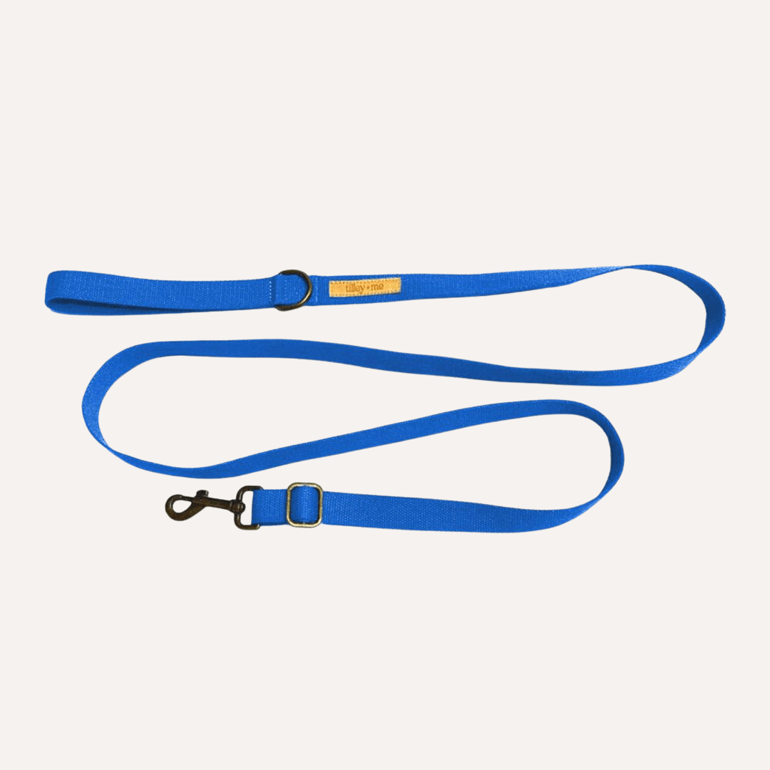 Tilley + Me Hemp Cotton Dog Leash - Durable, Sustainable, Adjustable, Lightweight & Soft-Malibu Blue Crush