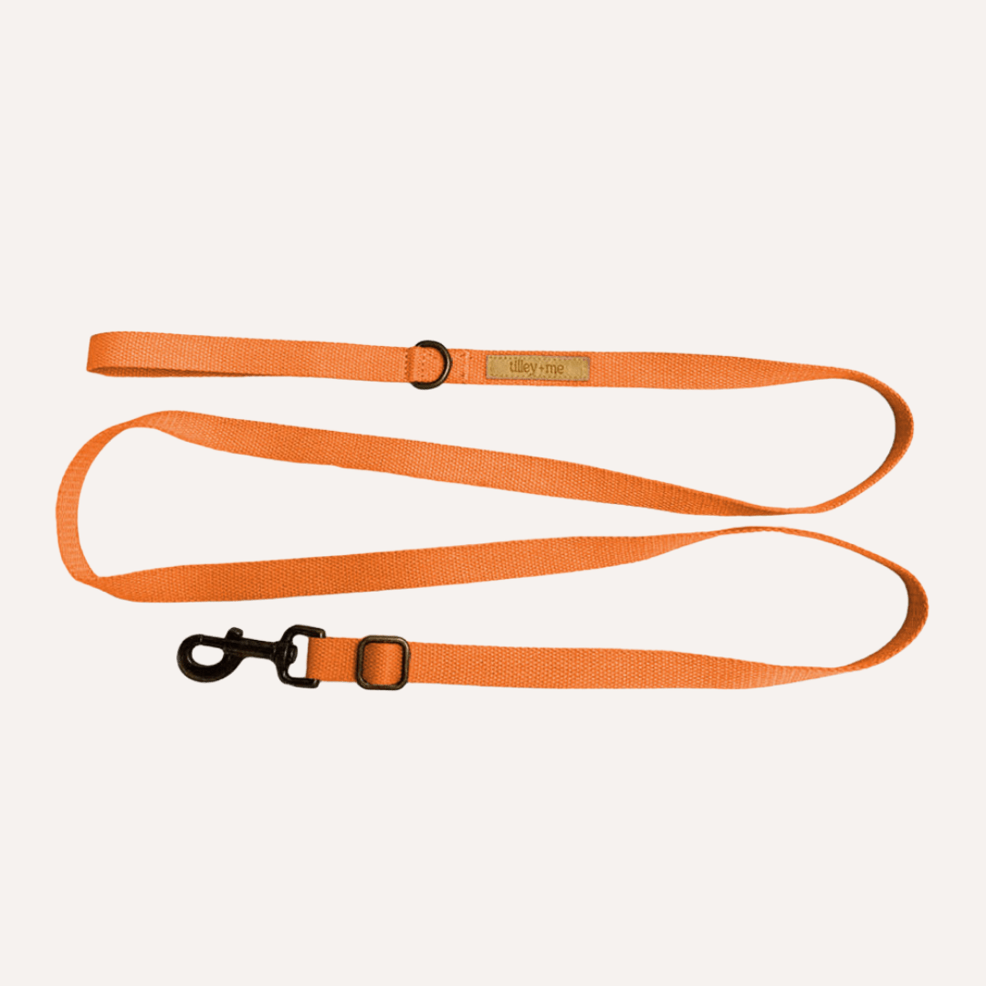 Tilley + Me Hemp Cotton Dog Leash - Durable, Sustainable, Adjustable, Lightweight & Soft-Malibu California Poppy