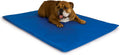 Dog Cooling Bed Mat Medium 22x32