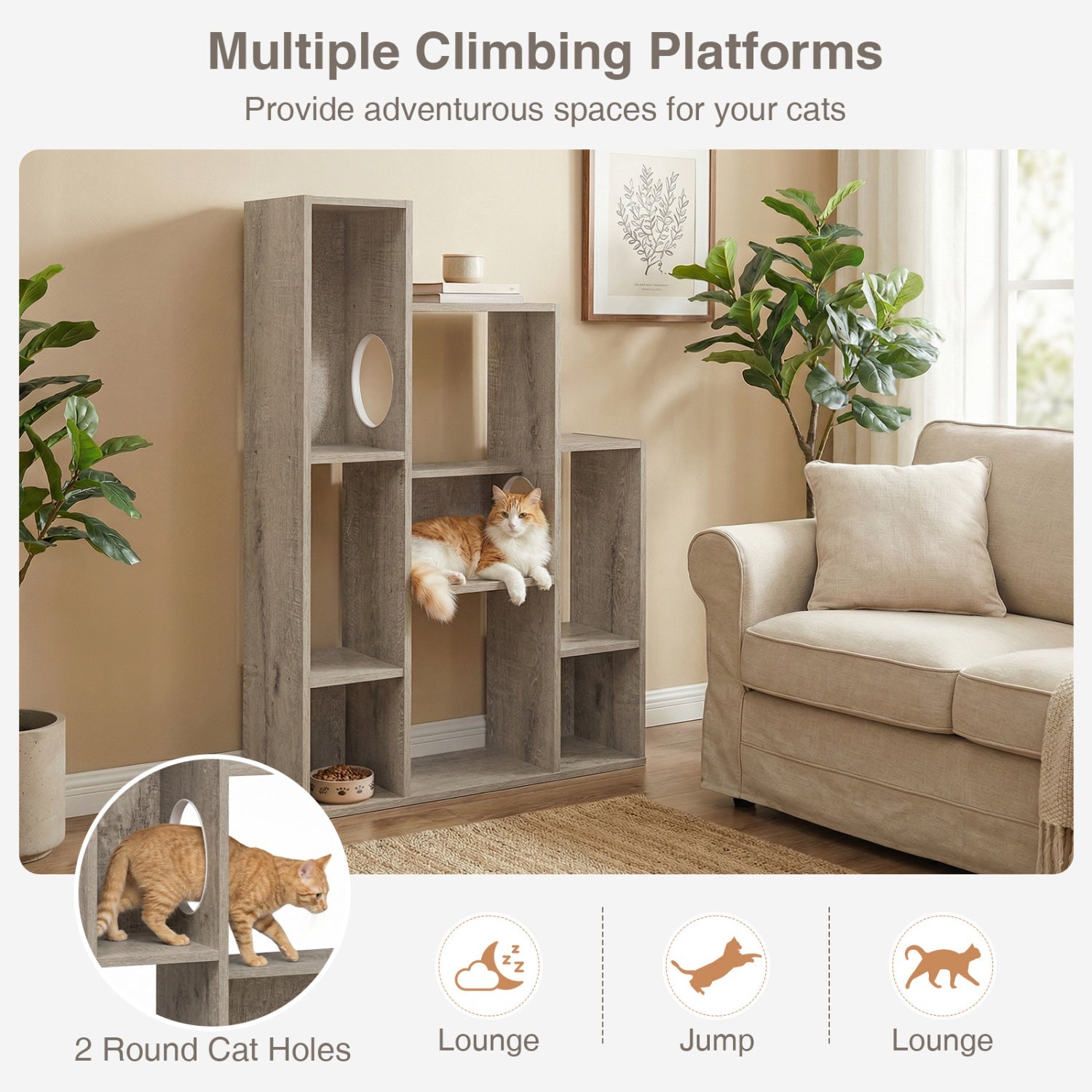 Modern Cat Bookshelf Cat Tree 8-Section Storage Cabinet with 2 Round Holes