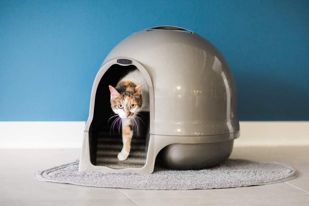 Dome Litter Pan for Cats Nickel
