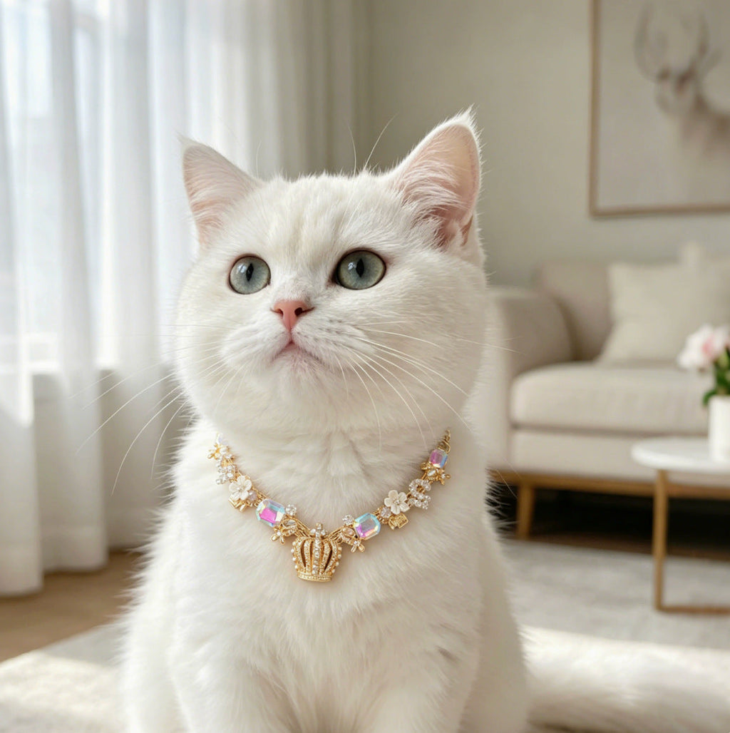 Gold Crown Pet Necklace Gift Box Set