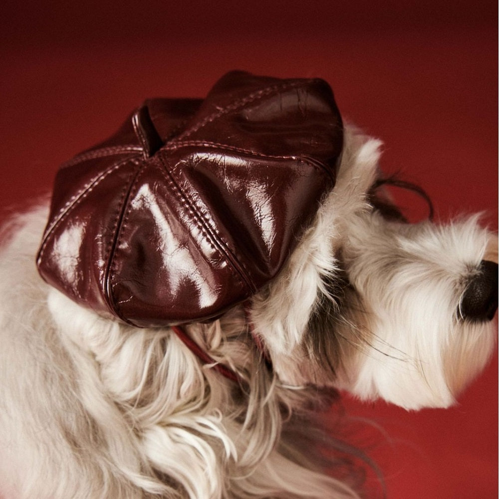 Leather Beret Pet Dress with Hat