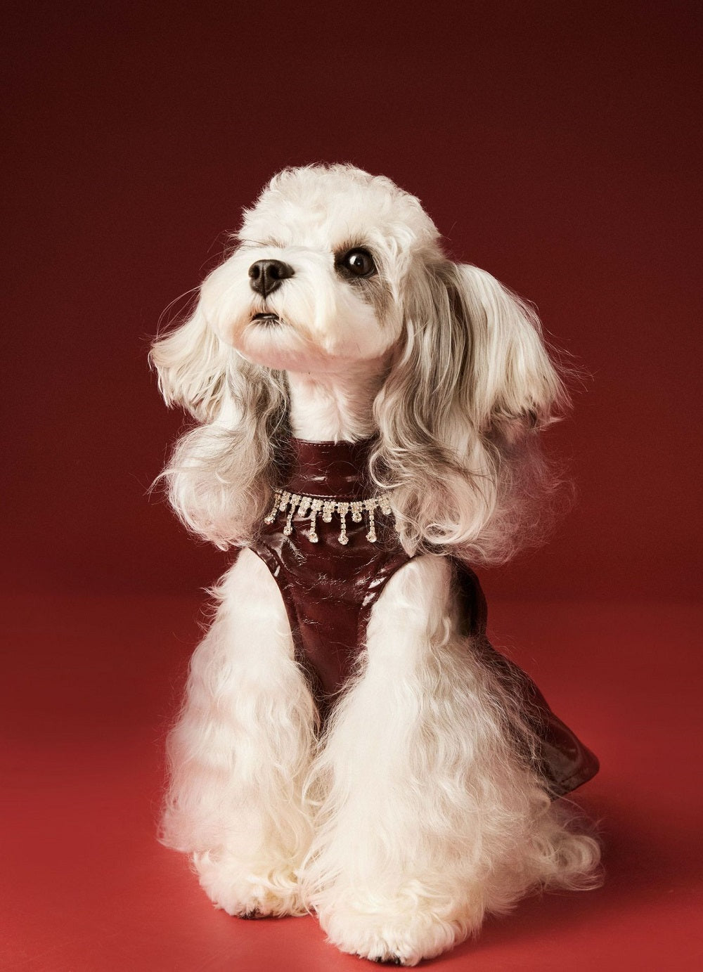Leather Beret Pet Dress with Hat